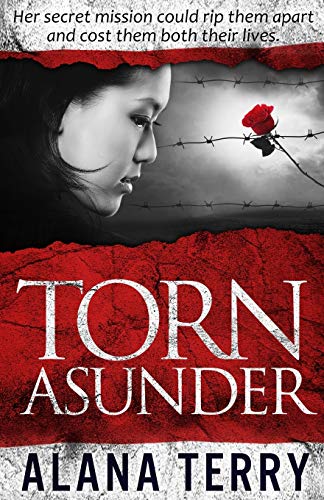 Torn Asunder book cover