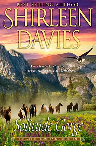 Solitude Gorge book cover