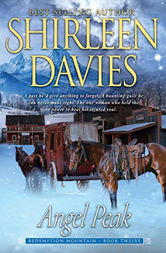Angel Peak book cover