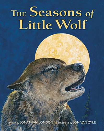 The Seasons of Little Wolf book cover