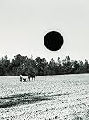 Ground: A Reprise of Photographs from the Farm Security Administration