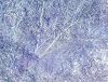 Notations