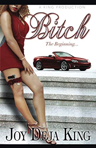 Bitch: The Beginning book cover