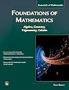 Foundations of Mathematics: Algebra, Geometry, Trigonometry, and Calculus (Essentials of Mathematics)