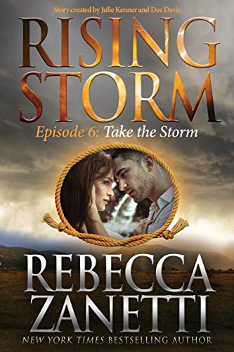 Take the Storm (By: Rebecca Zanetti) cover