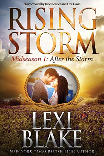 After the Storm (By: Julie Kenner) cover
