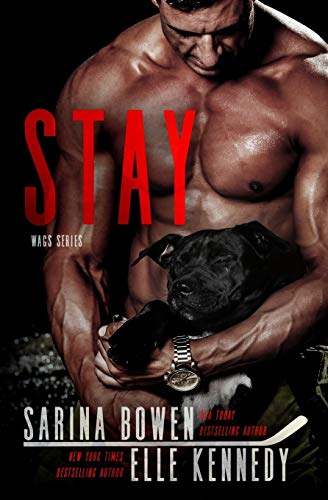 Stay book cover