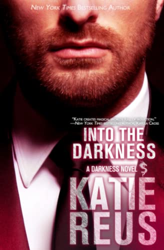 Into the Darkness book cover