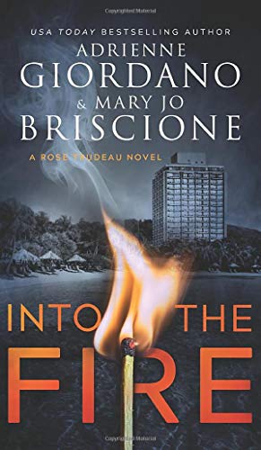 Into The Fire book cover