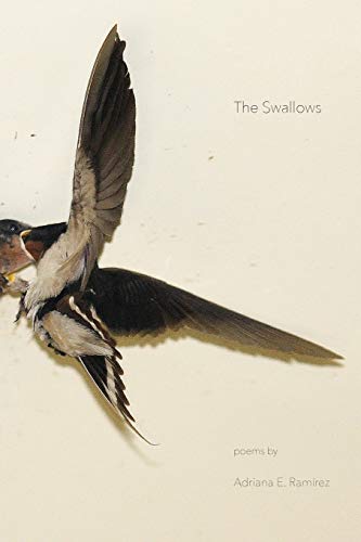 The Swallows book cover
