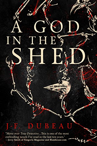 A God in the Shed book cover