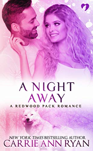 A Night Away book cover