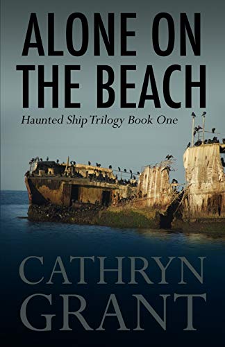 Alone on the Beach book cover