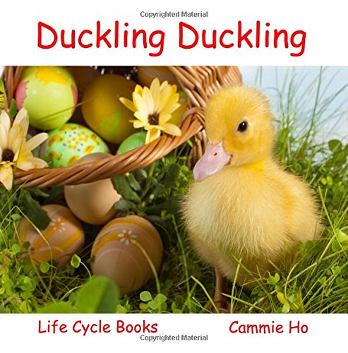 Cover of Duckling Duckling