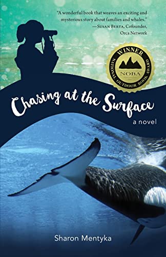 Cover of Chasing at the surface