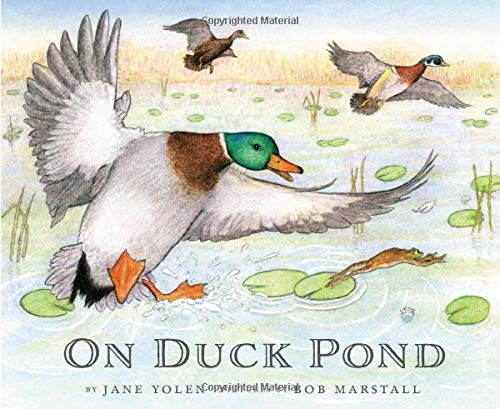 On Duck Pond book cover