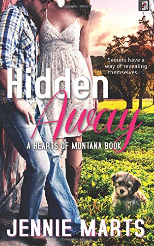 Hidden Away book cover