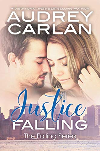 Justice Falling book cover