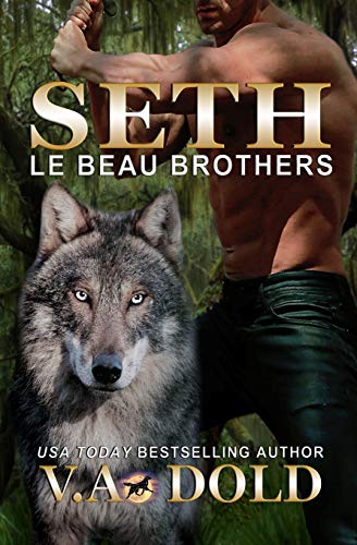 Seth book cover