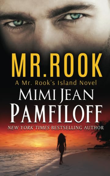 Mr. Rook book cover