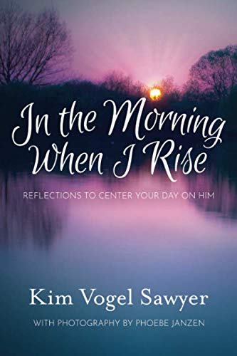 In the Morning When I Rise book cover