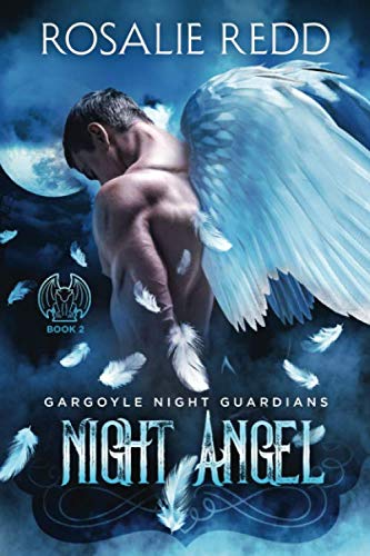 Night Angel book cover
