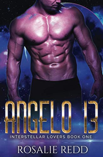 Angelo 13 book cover