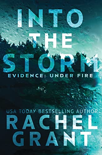 Into the Storm book cover