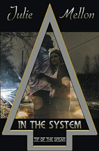 In the System book cover
