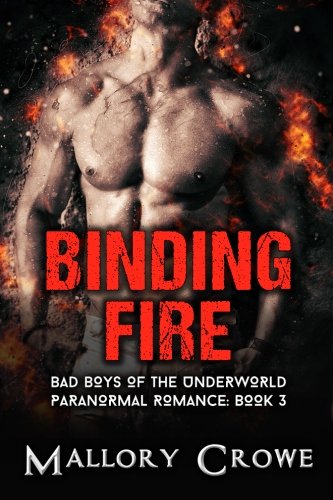 Binding Fire book cover