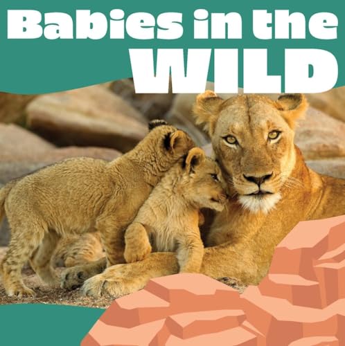 Cover of Babies in the Wild