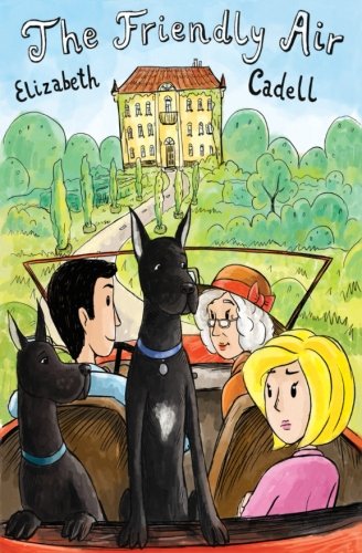 The Friendly Air book cover