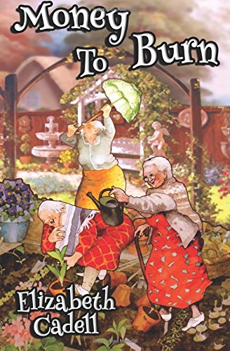 Money To Burn book cover