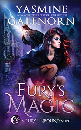 Fury's Magic book cover