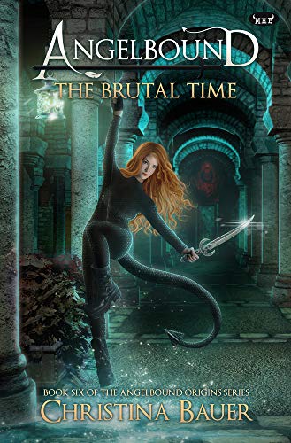 The Brutal Time book cover