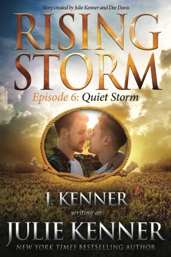 Quiet Storm (By: Julie Kenner) cover