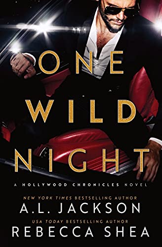 One Wild Night book cover