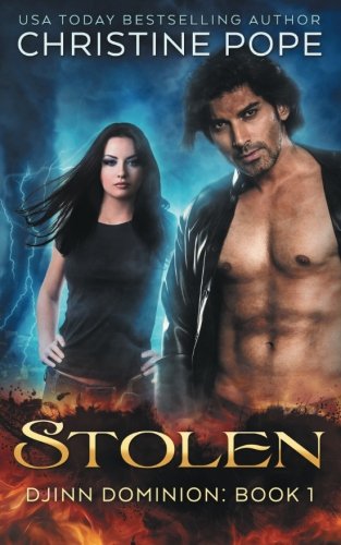 Stolen book cover