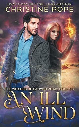 An Ill Wind book cover