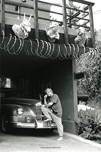 The Ephemeral Ellison cover