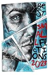 Best Small Fictions 2023
