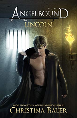 Lincoln book cover