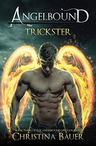 Trickster book cover