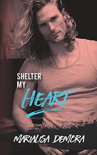 Shelter My Heart book cover