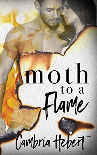 Moth to a Flame book cover