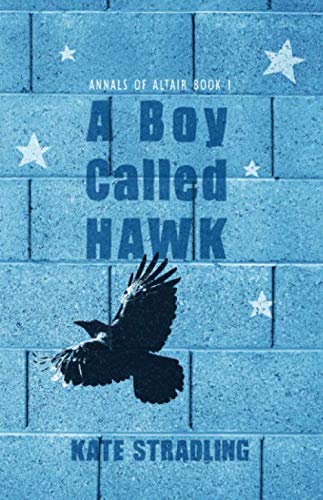 A Boy Called Hawk book cover