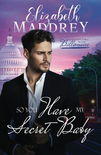 So You Have My Secret Baby book cover