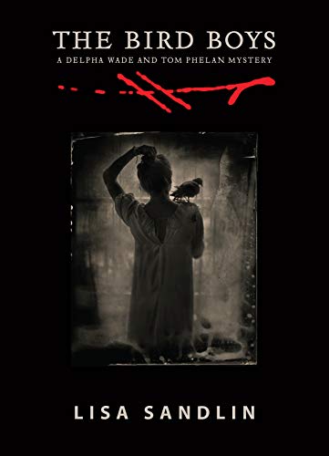 The Bird Boys book cover