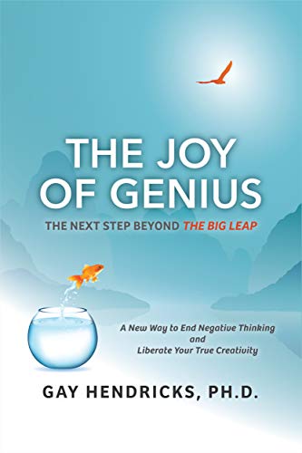 The Joy of Genius: The Next Step Beyond the Big Leap book cover