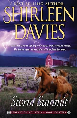 Storm Summit book cover